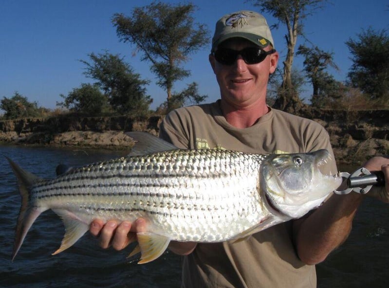 5 Day Tiger Fishing Adventure at Baines River Camp